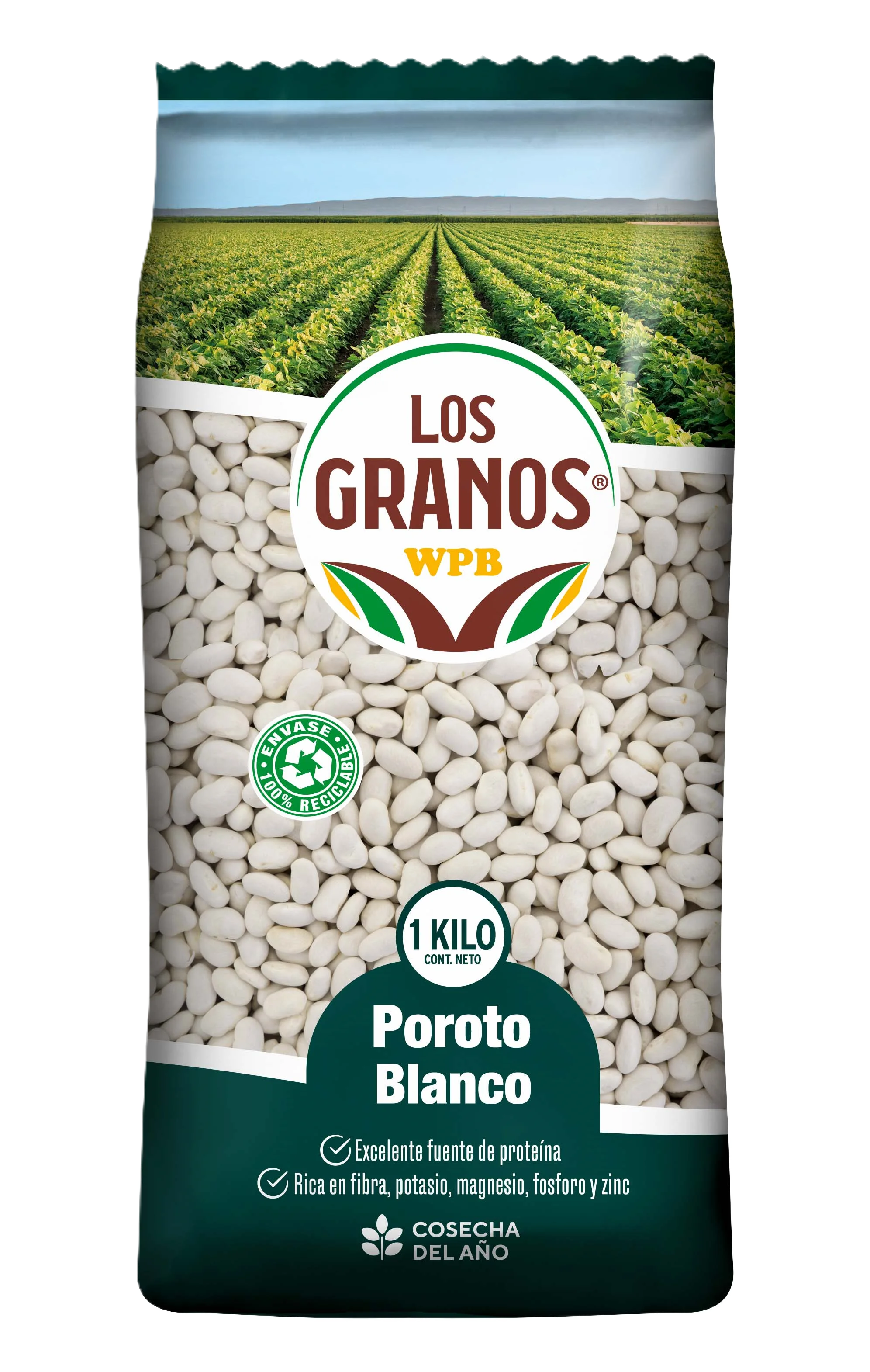 Poroto Blanco