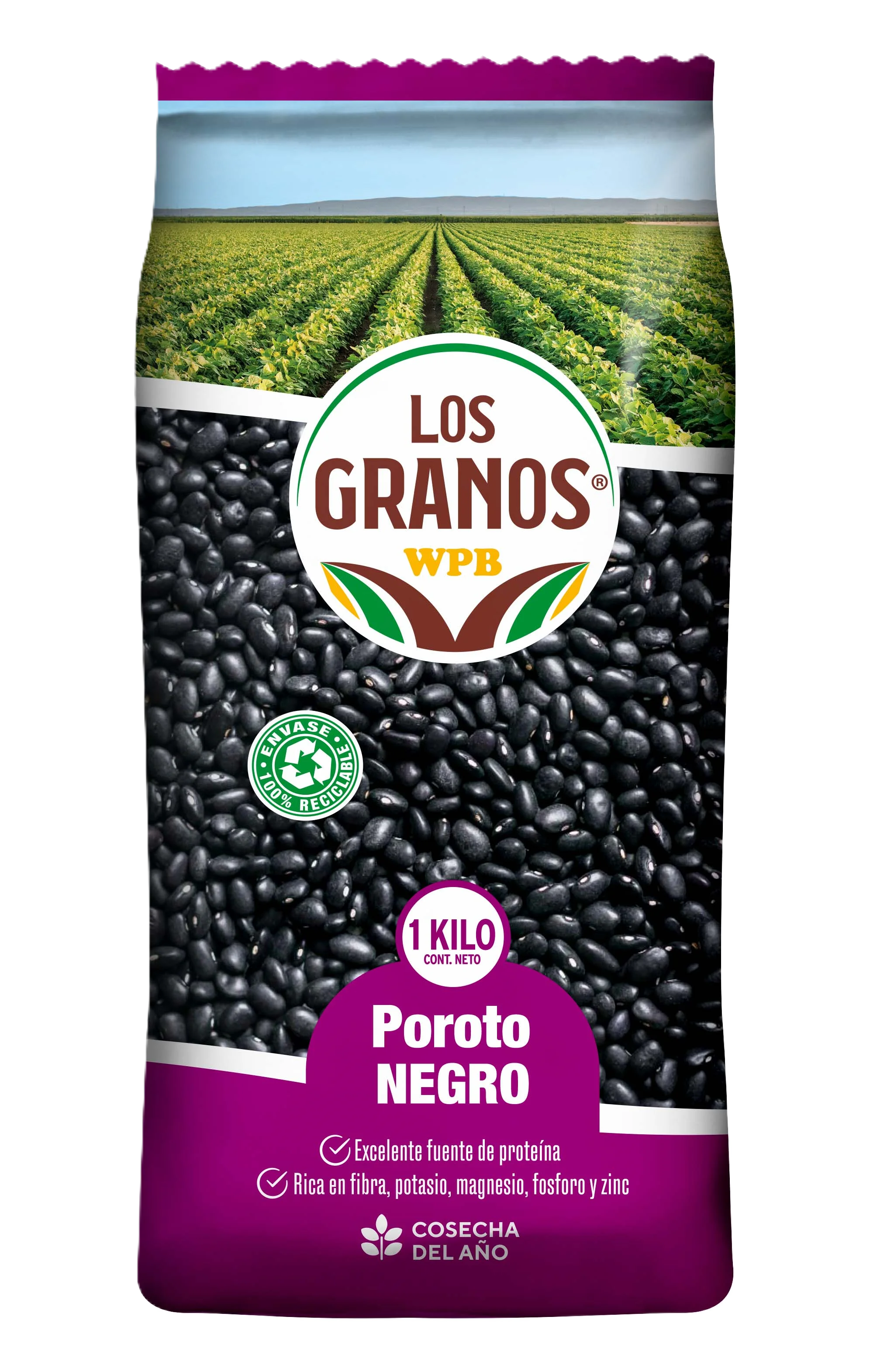 Poroto Negro